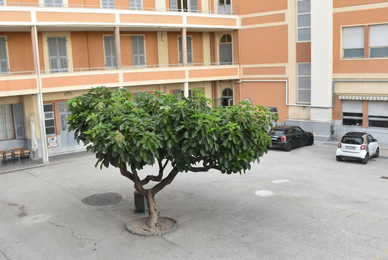 Edificio storico dell'Istituto Mater Misericordiae di Sanremo